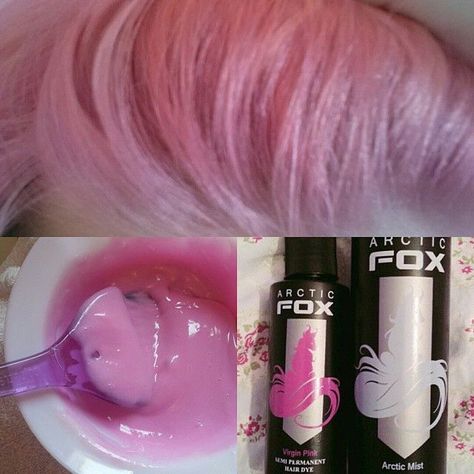 Found on Bing from www.pinterest.com Artic Fox Hair, Fox Hair Dye, Kids Hair Color, Arctic Fox Hair Dye, Fox Hair Color, Light Pink Hair, Pink Hair Dye, Fox Hair, Arctic Fox Hair Color