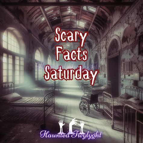 **Welcome to Scary Fact's Saturday!** 🌘🦇 Prepare to dive into the chilling depths of the unknown and the unexplained. Every Saturday, we bring you a spine-tingling collection of the most eerie and unsettling facts that will leave you checking over your shoulder and questioning what lurks in the shadows. From haunted histories to modern mysteries, each fact is a glimpse into the bizarre and the creepy. So, turn down the lights, steady your nerves, and get ready for a dose of real-life horror... Scary Facts, Haunted History, In The Shadows, The Shadows, The Unknown, Diving, Real Life, Thing 1, Bring It On