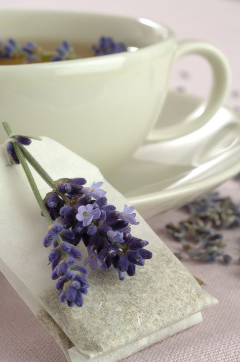 Lavender Tea Recipe: 3 Tablespoons fresh Lavender flowers or 1 1/2 Tablespoons dried Lavender flower, 2 cups boiling water, honey and lemon if desired. Put the flowers in a teapot or container along with the boiling water allowing them to steep a good 4 to 5 minutes. Pour into cups straining if necessary to remove the flower buds. Serve Lavender flower tea with honey and sliced lemon. Lavender Tea Benefits, Lavender Recipes, Cookie Sandwich, Dried Lavender Flowers, Lavender Tea, Tea Benefits, A Cup Of Tea, My Cup Of Tea, Dried Lavender