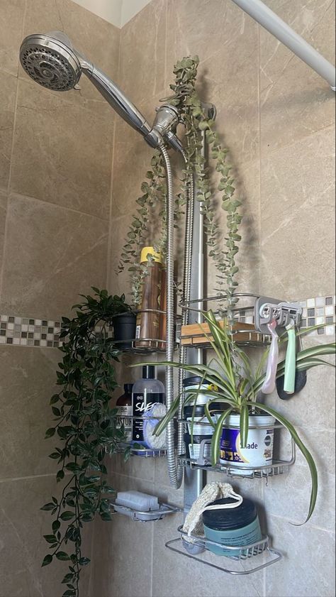 Plants To Put In Bathroom, Plant In The Bathroom, Bathroom Aethestic, Bathroom Decor Ideas Plants, Bathroom Eucalyptus Decor, Apartment Aesthetic Cozy Bathroom, Warm Apartment Aesthetic Bathroom, Plants Shower Bathroom, Plant Shower Aesthetic