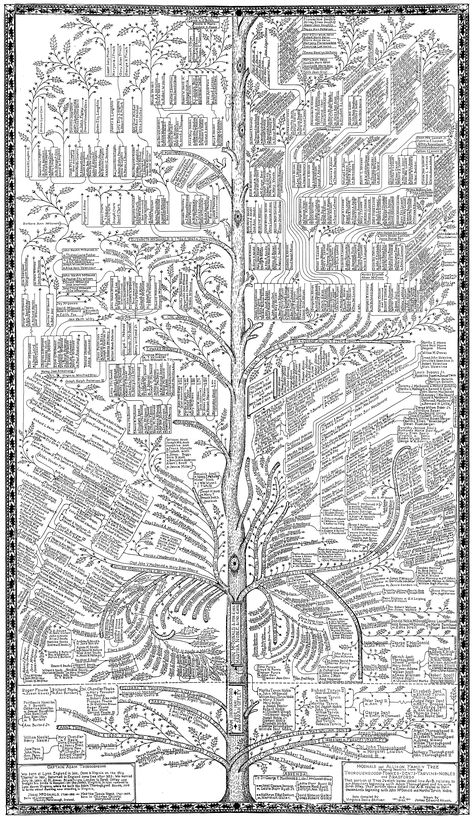 Absolutely amazing family tree...it must have taken months to draw this! thoroughgood-72.gif (2610×4500) Family Tree Examples, Genealogy Art, Genealogy Crafts, Ancestry Chart, Genealogy Tree, James Edward, Family Tree Designs, Relationship Chart, Family Tree Research