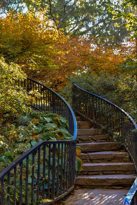 Orange Stairs, Green And Orange Aesthetic, Orange And Green Aesthetic, Vines Aesthetic, Aesthetic Stairs, Green Greenhouse, Greenhouse Garden, Aesthetic Orange, Spotify Covers