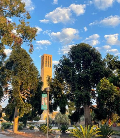 Usc Student Aesthetic, Uc Santa Barbara Campus, Uscb University, California University Aesthetic, Santa Barbara California Aesthetic, Uc Santa Barbara Aesthetic, University Of California Santa Barbara, Ucsb College Aesthetic, Ucsb Aesthetic