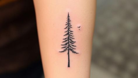 15 Pine Tree Minimal Tattoos for Evergreen Ink Lovers Pine Tree Back Tattoo, Pine Tree Tattoo Placement, Pine Tree Spine Tattoo, Eastern White Pine Tattoo, Simple Tree Tattoos For Women, Blue Spruce Tattoo, Little Tree Tattoo, Forest Theme Tattoo, Spruce Tattoo