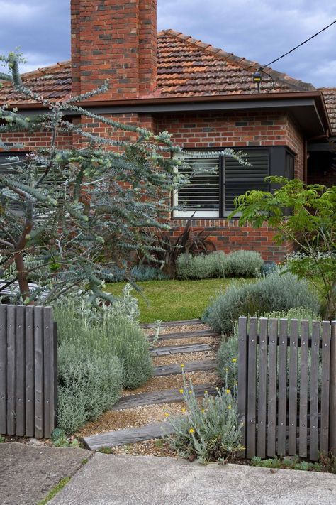 McKeon Pascoe Vale South — Creative Landscape Design | Melbourne & Beyond | Miniscape Australian Front Porch, Miniscape Projects, Landscape Design Melbourne, Small Garden Plans, Australian Garden Design, Gardening Aesthetic, Silver Plant, Australian Native Garden, Front Fence