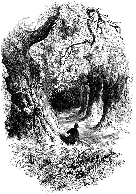 Forest Scene Black And White Landscape Illustration, Forest Drawing Ink, Dark Forest Sketch, Forest Illustration Black And White, Rainy Forest Drawing, Fantasy Forest Sketch, Black And White Forest Drawing, Forest Plants Drawing, Forest Sketch Pencil