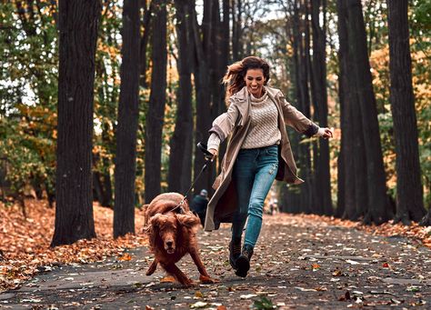 How to stop a dog pulling on the lead and start walking to heel: Six tips from top dog-trainer Ben Randall Dog Recall Training, Loose Leash Walking, Crate Training Puppy, Best Treats For Dogs, Dog Training Advice, Dog Brain, Dog Stories, Boston Terrier Dog, Handy Dandy