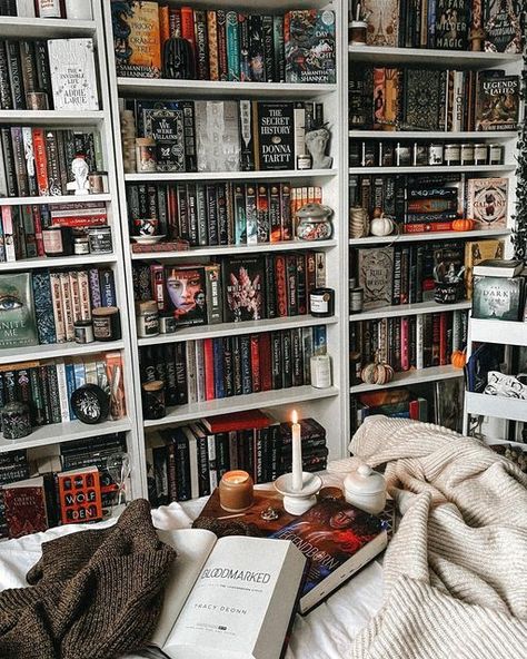 Witchy Bookshelf Aesthetic, Bookish Shelf Decor, Fantasy Bookshelf Aesthetic, Acotar Bookshelf Decor, Fantasy Bookshelf Decor, Personal Library Ideas, Home Book Library, Book Library Aesthetic, Fantasy Bookshelves