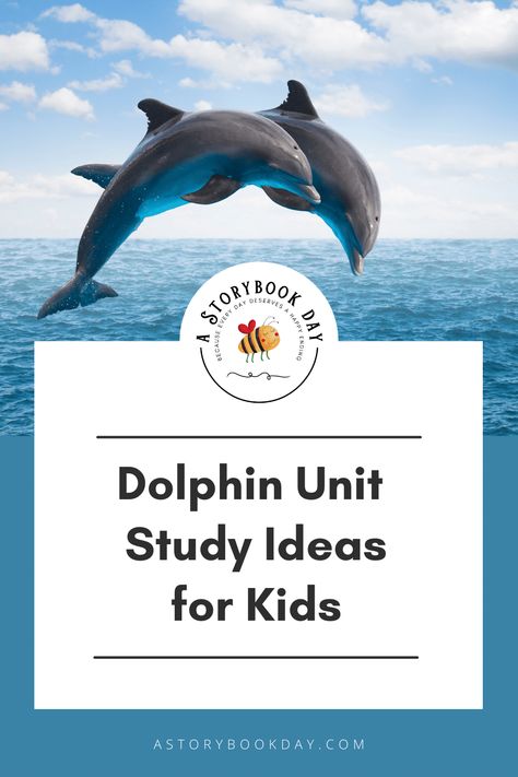 Dolphins Unit Study Ideas - A Storybook Day Dolphin Kindergarten Activities, Dolphin Unit Study, Dolphin Activities, All About Dolphins, Unit Study Ideas, Ideas For Learning, Dolphin Facts, Dolphin Tale, Ocean Unit