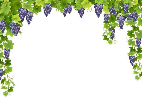 Grape Background, Vine Background, Grape Tree, Vine Border, Vector Frame, Tree Clipart, Candle Art, Craft House, Grape Bunch