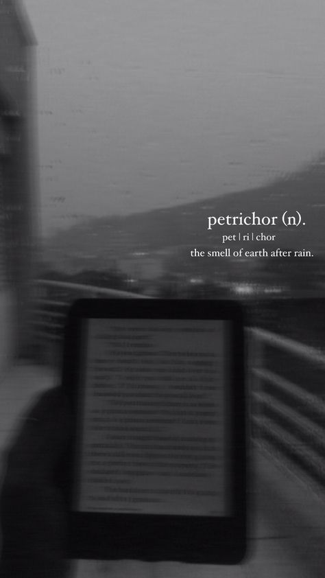 Petrichor Aesthetic, Meaning Aesthetic, Phobia Words, The Sound Of Rain, Rain Quotes, Unique Words Definitions, Words That Describe Feelings, Uncommon Words, One Word Quotes