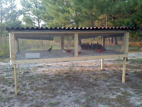 silkie cages | Me, wife, 2 kids, 2 step kids, English Cocker, Chukars, Quail and ... Pheasant Farm, Quail Pen, Big Bird Cage, Quail Cage, Quail Coop, Chicken Brooder, Raising Quail, Chicken Shed, Chicken Pen