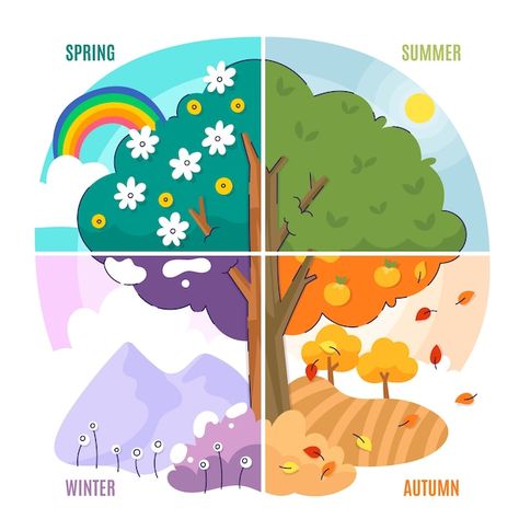 The 4 Seasons Art, Four Season Illustration, 4 Seasons Illustration, 4 Seasons Activities, Four Seasons Drawing, 4 Seasons Art, 4 Season Tree, Seasons Illustration, Ivan Cruz