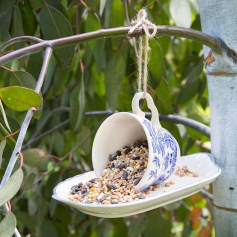 budget garden ideas Jardim Diy, Garden Ideas Cheap, Budget Garden, Diy Bird Feeder, Wildlife Gardening, Garden Show, Creative Gardening, Diy Garden Projects, Garden Cottage