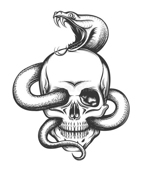 Illustration about Human skull with crawling snake. Illustration in engraving style. Illustration of clothing, emblem, roll - 73476715 Snake Skull, Tattoo Snake, Snake Illustration, Bauch Tattoos, Snake Drawing, Desen Realist, Snake Tattoo Design, Skull Art Drawing, Výtvarné Reference