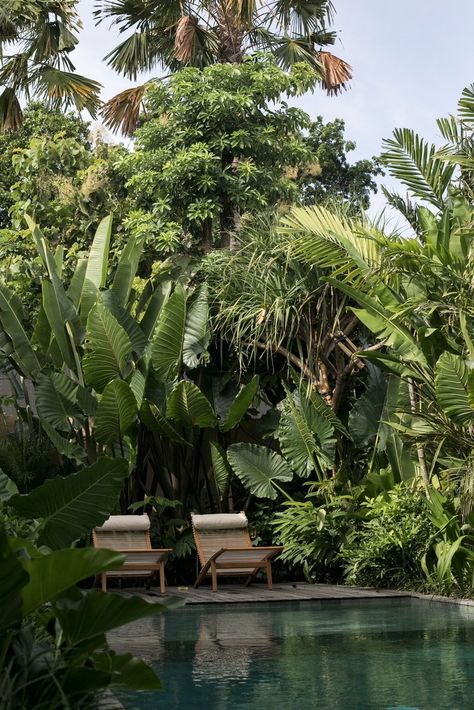 Gallery of Bawa House / Stilt Studios - 8 Bawa House, Tropical Planting, Tropical Villa, Hotel Bali, Villa Pool, Jungle House, Cozy Interior Design, Tropical Garden Design, Nosara