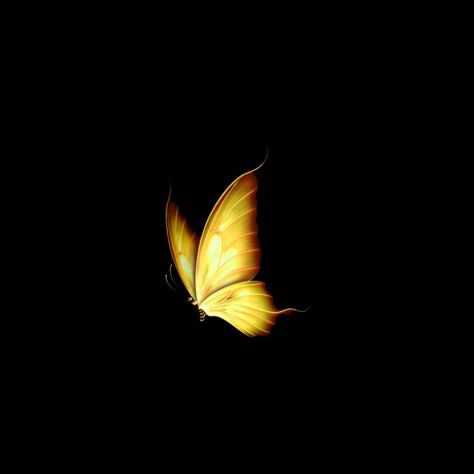 Glowing Butterfly Png, Collage Photo Frame Design, Black And Purple Wallpaper, Baby Cartoon Drawing, Blurred Lights, Red Background Images, Pictures Of Shiva, Photoshop Backgrounds Free, Desktop Background Pictures