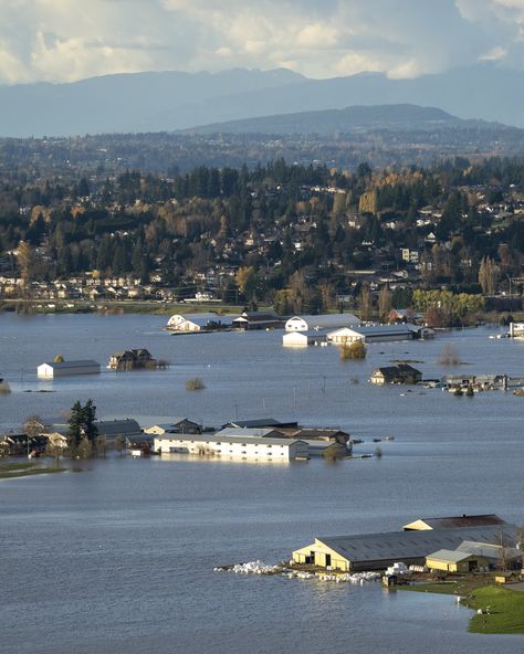 B.C. flooding: Photos show extent of damage | CTV News Flooding Aesthetic, Flood Aesthetic, Floods Pictures, Flood Photos, Moon Wizard, Images Of Flood, Beams Ceiling, Flood In Pakistan, Flood Map