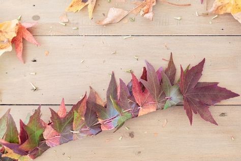 How to make a fall leaf crown with the kids for free Maple Leaf Crown, Leaf Crown Kids, Fall Leaf Crown, Diy Leaf Crown, Nature Crown Diy, Leaf Crown Diy, Leave Crown, Paper Leaf Craft, Fall Leaf Crafts