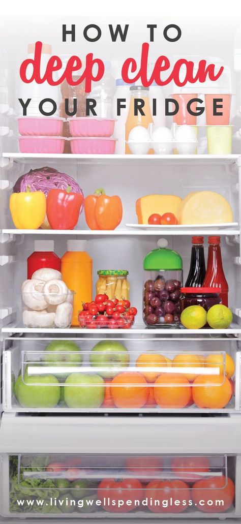 Organization Fridge, Healthy Fridge, Organizing Life, Clean Refrigerator, Clean Fridge, Deep Cleaning Tips, Cleaning Recipes, Cleaning Ideas, Cleaners Homemade