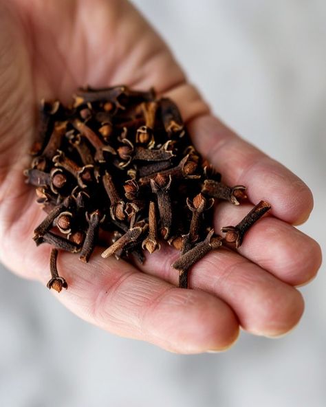 How to grow a clove plant from cloves at home. Here's a step-by-step guide Clove Plant, Dried Cloves, Cloves Benefits, Design Garden Ideas, Herbs Plants, Design Garden, Flower Display, Ideas Garden, Large Pots