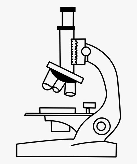 Microscope Drawing, Slide Drawing, Microscope Pictures, Science Drawing, Easy Pictures To Draw, Lab Logo, Microscopic Images, Free Clipart Images, Line Art Vector