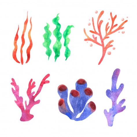 Coral Painting Easy, Coral Reef Drawing, Coral Drawing, Coral Painting, Coral Reef Art, Coral Draw, Plant Icon, Watercolor Paper Texture, Sea Plants