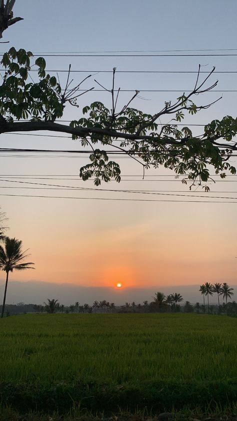 Village Sky View, Indian Village Photography, Iphone Wallpaper Hd Original, Sunset Captions, Safari Room, Best Instagram Feeds, Sky Gif, Farm Pictures, Instagram Feeds