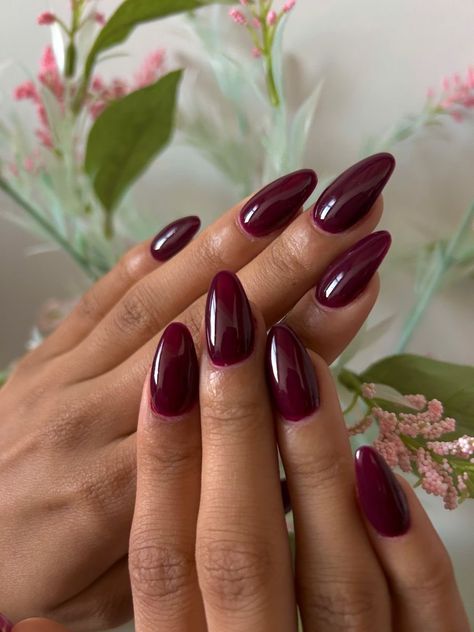 Plum Red Nails, Cherry Almond Nails, Cranberry Nails, Plum Nails, Wine Nails, Maroon Nails, October Nails, Cherry Almond, Nagel Inspo