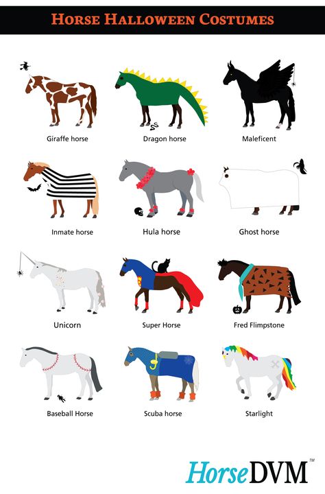 HorseDVM - Horse Halloween Costumes Superhero Horse Costume, Halloween Costumes For Equestrians, Matching Halloween Costumes With Horse, Equine Costume Ideas, Horse Custom Halloween, Halloween Costumes With Your Horse, Costume Ideas For Horse And Rider, Black Horse Halloween Costumes, Halloween Costumes For Horses And Rider Easy