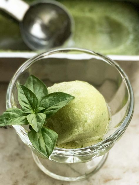 Basil Sorbet, Lemon Sorbet Recipe, Basil Ice Cream, Sorbet Is, Lime Sorbet, Gelato Recipe, Capri Island, Ice Cream Maker Recipes, Summer Foods