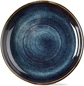 tag Loft Speckled Reactive Glaze Stoneware Dinnerware Plate 10 inch Midnight Blue Dishwasher Safe Reactive Glaze Blate Blue Empty Plate, Blue Dinner, Blue Dinner Plates, Stoneware Dinnerware, Reactive Glaze, 10 Inch, Midnight Blue, Dinner Plates, Stoneware