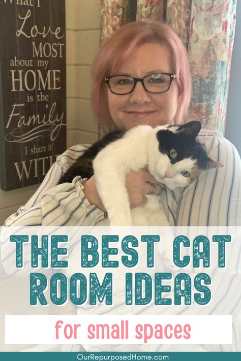 Your cat deserves the best, and so does your home! Explore these cat room design tips and hacks to strike the perfect balance between style and comfort. Catios Diy Indoor, Cat Rooms Indoor Small Space, Cattery Ideas Cat Room Indoor, Ideas For Cat Rooms, Cat Room Design Ideas, Foster Cat Room Ideas, Cat Room Ideas Indoor Cat Room Ideas, Diy Cat Room Ideas, Indoor Cat Room Ideas Diy