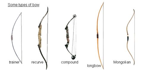 Some different types of Archery Bows: Trainer, Recurve, Compound, Longbow, Mongolian. Different Types Of Bows, Archery Training, Archery Tips, Bows And Arrows, Recurve Bows, Cheap Hobbies, Types Of Bows, Archery Bows, Hobbies For Women