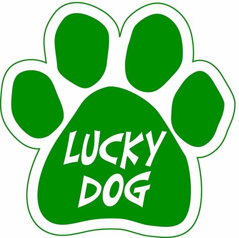 Imagine This 5-1/2-Inch by 5-1/2-Inch Car Magnet Lucky Irish, Lucky Dog >>> Click image to review more details. (This is an affiliate link) Irish Pride, Lucky Dog, Car Magnets, Luck Of The Irish, Dog Memorial, Dog Paw, Pet Memorial, Dog Pet, Dog Paws