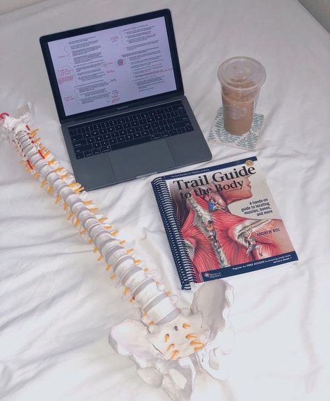 Chiropractic School Student, Chiropractic Student Aesthetic, Chiropractor School, Chiropractic Aesthetic, Chiropractor Aesthetic, Pt Student, Medical Intern, Pt School, Palmer College Of Chiropractic