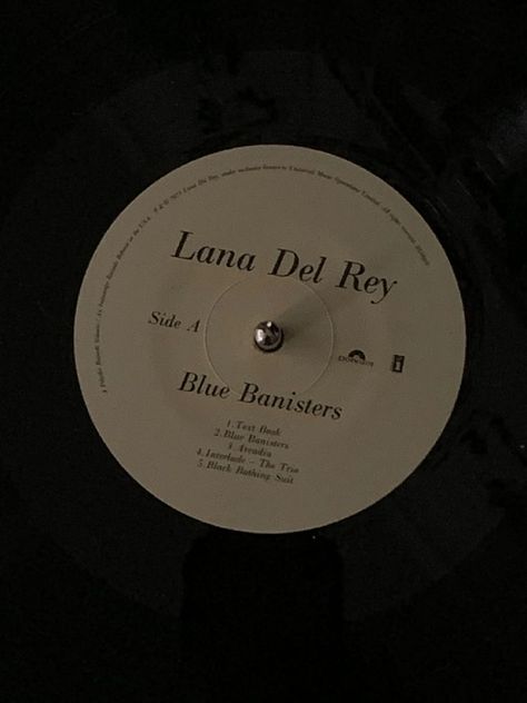 Blue Banisters, Collage Des Photos, Lana Del Rey Vinyl, Lana Rey, Seni Vintage, Phone Inspiration, Lana Del Ray, Music Aesthetic, Brown Aesthetic