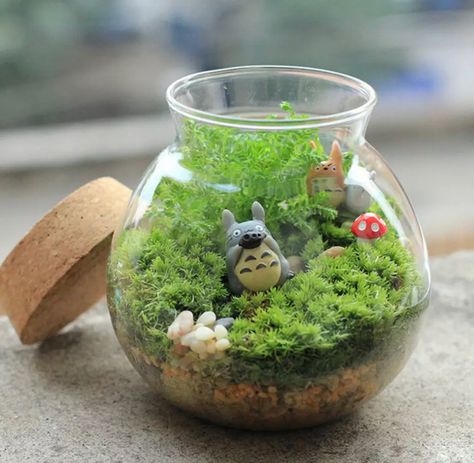 Totoro Diy, Garden Ornaments Diy, Plant Fairy, Decor Balls, Miniature Terrarium, Mushroom Crafts, Terrarium Ideas, Green Gift, Fairy Garden Decor