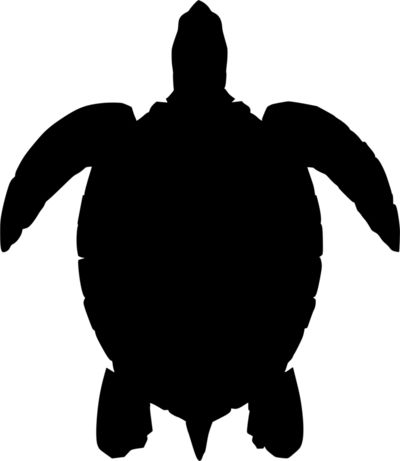 Sea Turtle - Free vector clip art image. #Animal, #BlackAndWhite, #ClipArt, #Fauna, #Free, #PublicDomain, #Reptile, #SVG, #Silhouette, #VectorImage Turtle Outline, Cricut Animals, Turtle Silhouette, Under The Sea Decorations, Turtle Images, Animal Tails, Fruits Drawing, Sea Life Art, Sea Decor