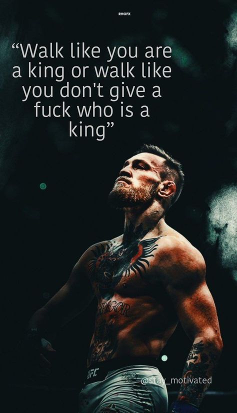 The notorious Conor McGregor Conor Mcgregor Quotes, Alpha Male Quotes, Fighter Quotes, Motivation Background, Connor Mcgregor, Hustle Money, Notorious Conor Mcgregor, Ufc Fighter, Boxing Quotes