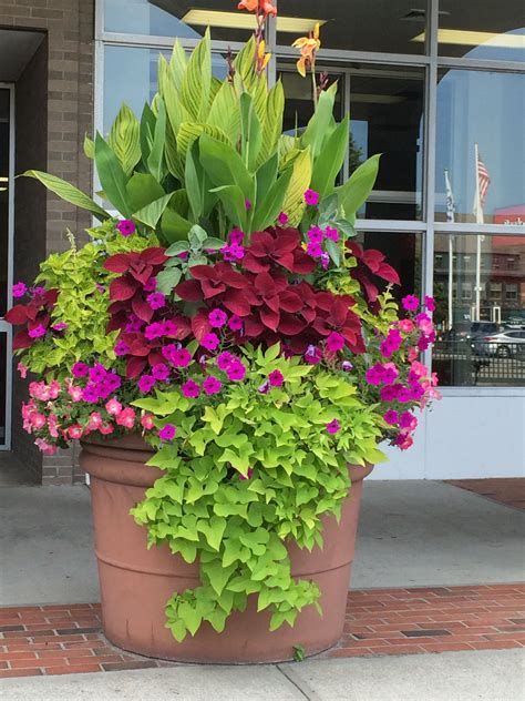 Front Porch Flower Pots, Pots Ideas, Front Porch Flowers, Large Outdoor Planters, Porch Flowers, Container Garden Design, Potted Plants Outdoor, Large Flower Pots, Container Gardening Flowers