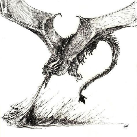 animal creature and monster drawing Dragon Tattoo Breathing Fire, Dragon Drawing Aesthetic, Dragon Fire Drawing, Dragon Breathing Fire Tattoo, Dragon Breathing Fire Drawing, Fire Breathing Dragon Tattoo, Flying Dragon Drawing, Fire Drawing Ideas, Dragon Fire Tattoo