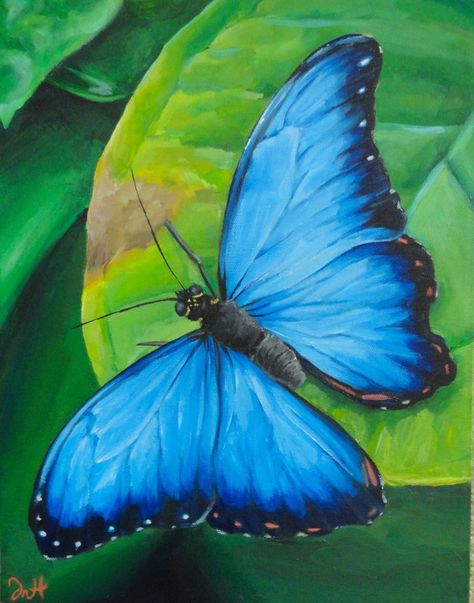 Blue Morpho Butterfly (retouched) by Manukahoney7 on deviantART Blue Morpho Painting, Blue Morpho Butterfly Painting, Morpho Butterfly Painting, Blue Butterfly Acrylic Painting, Blue Butterfly Painting Easy, Blue Morpho Butterfly Drawing, Half Butterfly Painting, Blue Butterfly Painting, Morpho Azul