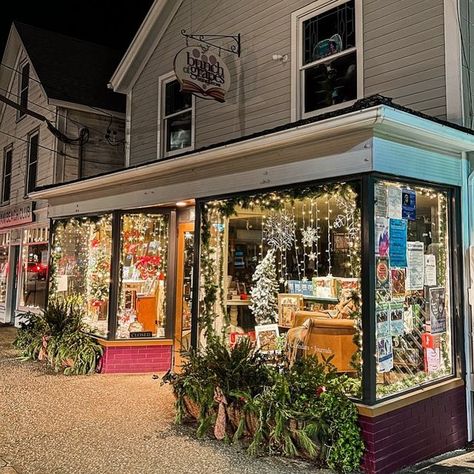 Bookstore Christmas Decorations, Christmas Bookstore Aesthetic, Coastal Bookstore, Bookstore Christmas, Christmas Bookstore, Reading Aesthetics, New England Christmas, Cape Cod Photography, 2023 Mood