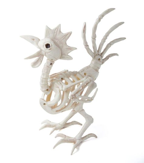 Rooster Skeleton, Chicken Skeleton, Farm Halloween, Moana Decorations, Bone Decorations, Dragon Skeleton, Chicken Halloween, Skeleton Decor, Lantern Centerpiece Wedding