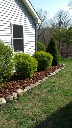 Pine Bark Mulch Landscaping Decorative Bark Garden Ideas, Backyard Bark Landscaping Ideas, Pine Bark Nuggets Landscaping, Pine Mulch Landscaping, Pine Bark Mulch Landscaping, Bark Mulch Landscaping, Bark Garden Ideas, Brown Mulch Landscaping, Bark Landscaping