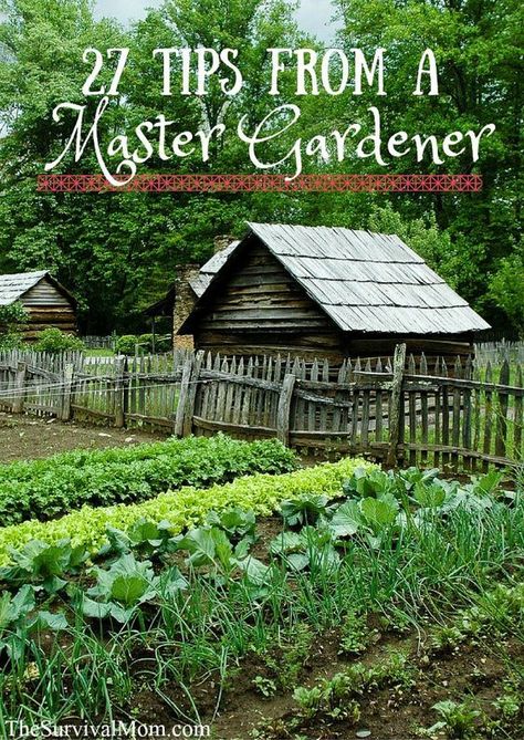 27 Tips from a Master Gardener: Plantarea Legumelor, Kebun Herbal, Taman Diy, Tanaman Pot, Garden Veggies, Veg Garden, Have Inspiration, Master Gardener, Organic Gardening Tips