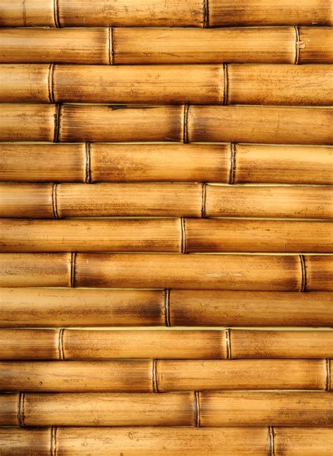 Bamboo Texture Seamless, Bamboo Background, Popsicle Stick Houses, New Air Fryer Recipes, Bamboo Texture, Texture Seamless, Bamboo Fiber, Yahoo Search, Ad Design