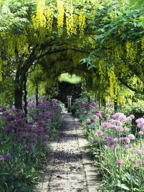 I was told to go to the end of the garden path and sit on the stone bench and wait... Have Inspiration, The Secret Garden, Garden Pathway, Enchanted Garden, Gorgeous Gardens, Garden Cottage, Country Gardening, Garden Gates, Garden Paths