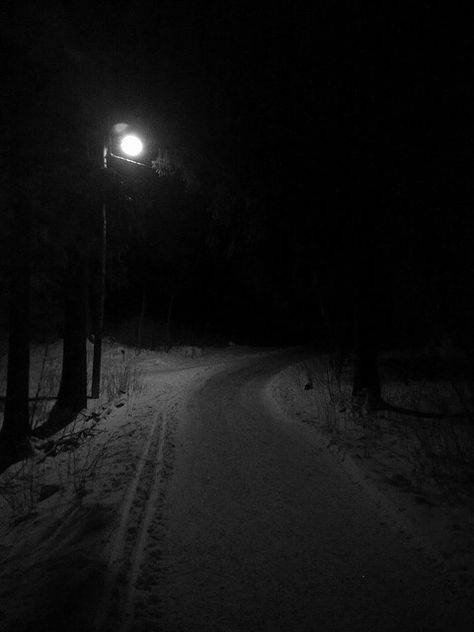 In The Woods At Night, The Woods At Night, Woods At Night, Dark Road, Darkness Falls, Photo D Art, Dark Photography, Dark Places, Dark Beauty